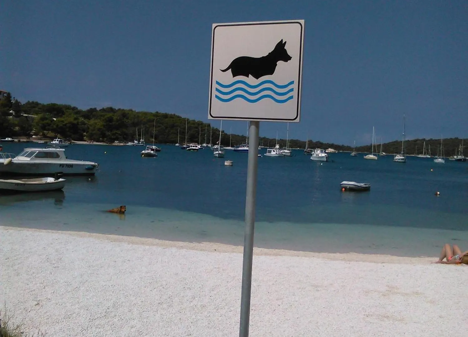 Holiday Apartment Drago, Vinkuran Κροατία