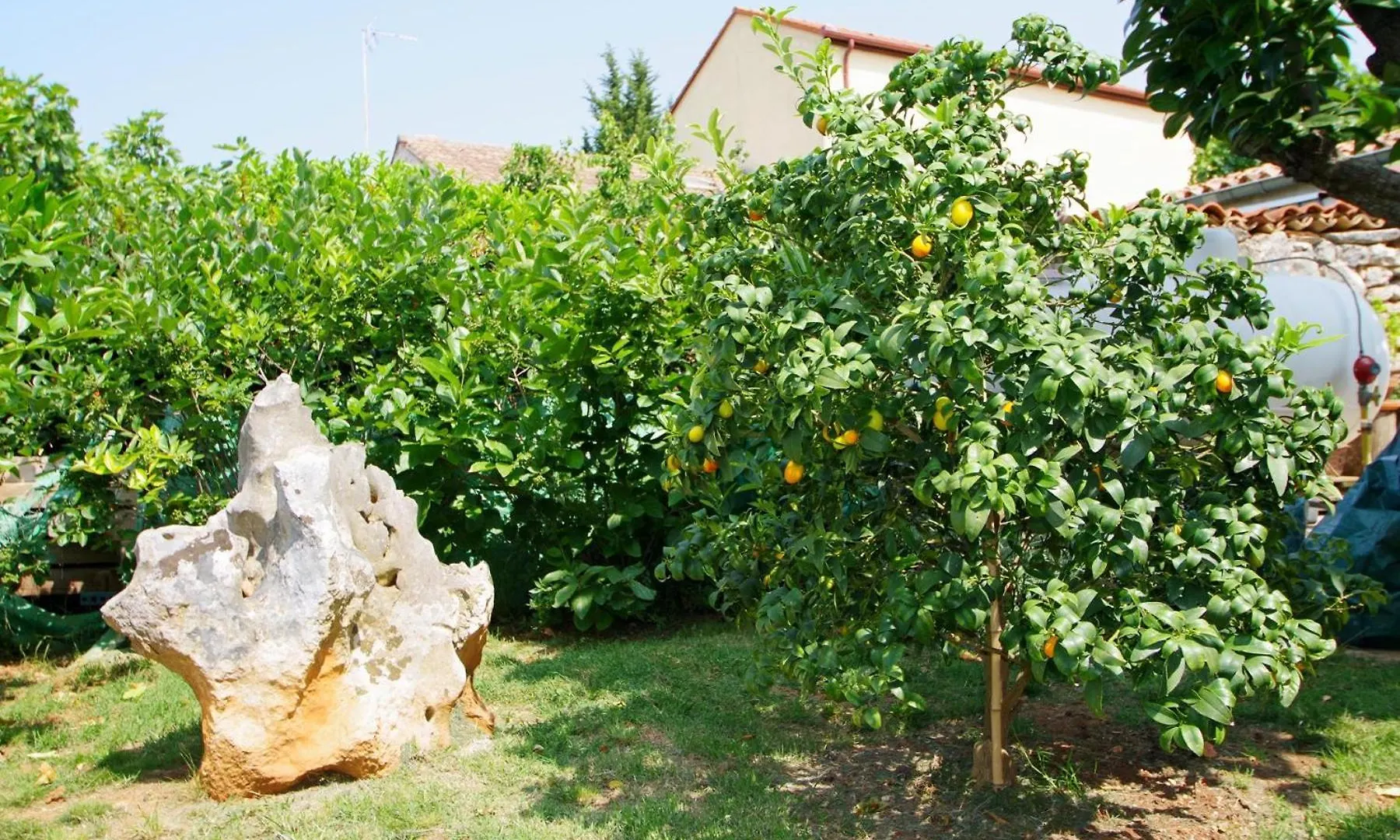 Holiday Apartment Drago, Vinkuran Κροατία